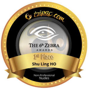 6th Zebra Awards