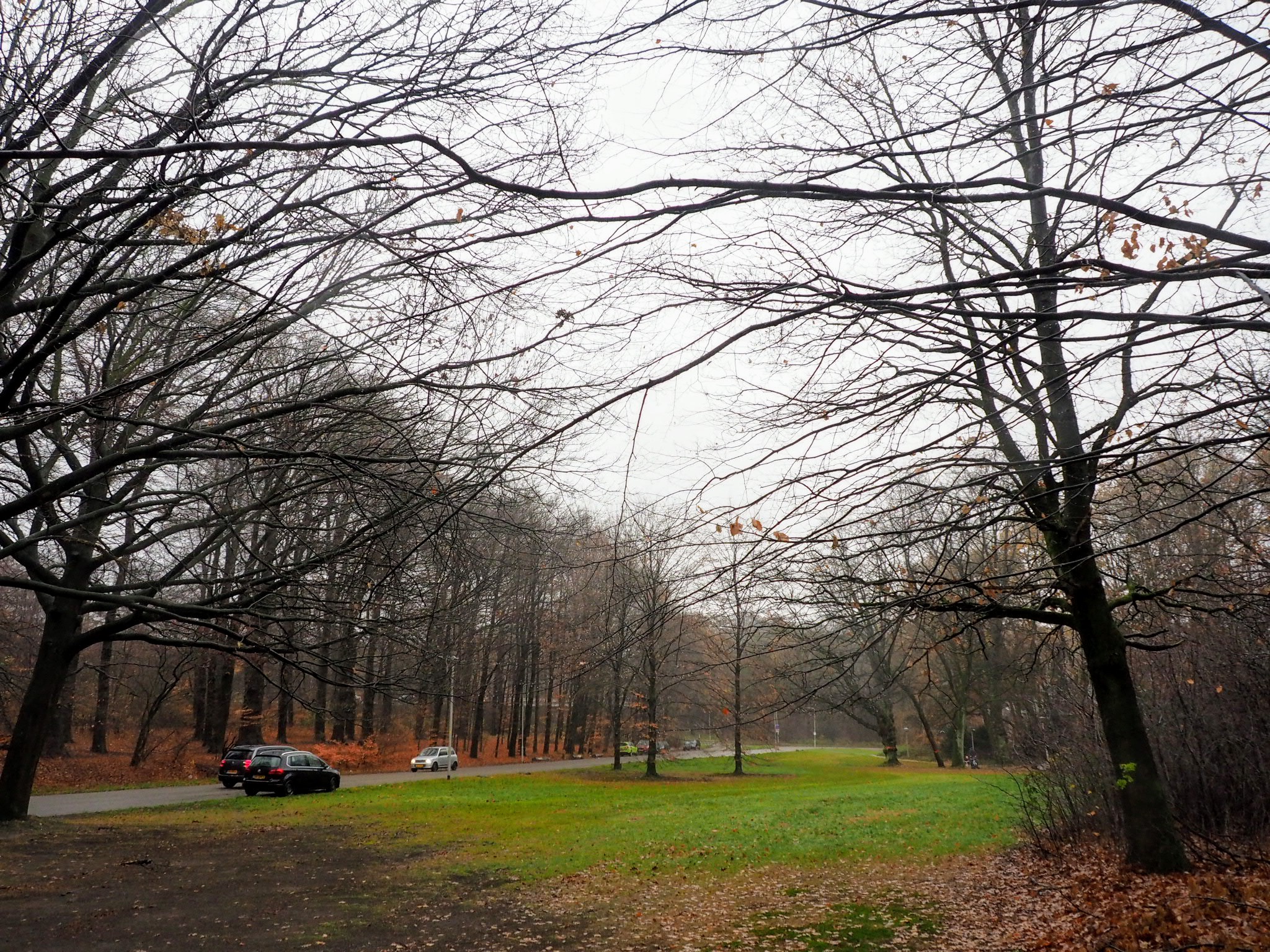 Park Sonsbeek Arnhem