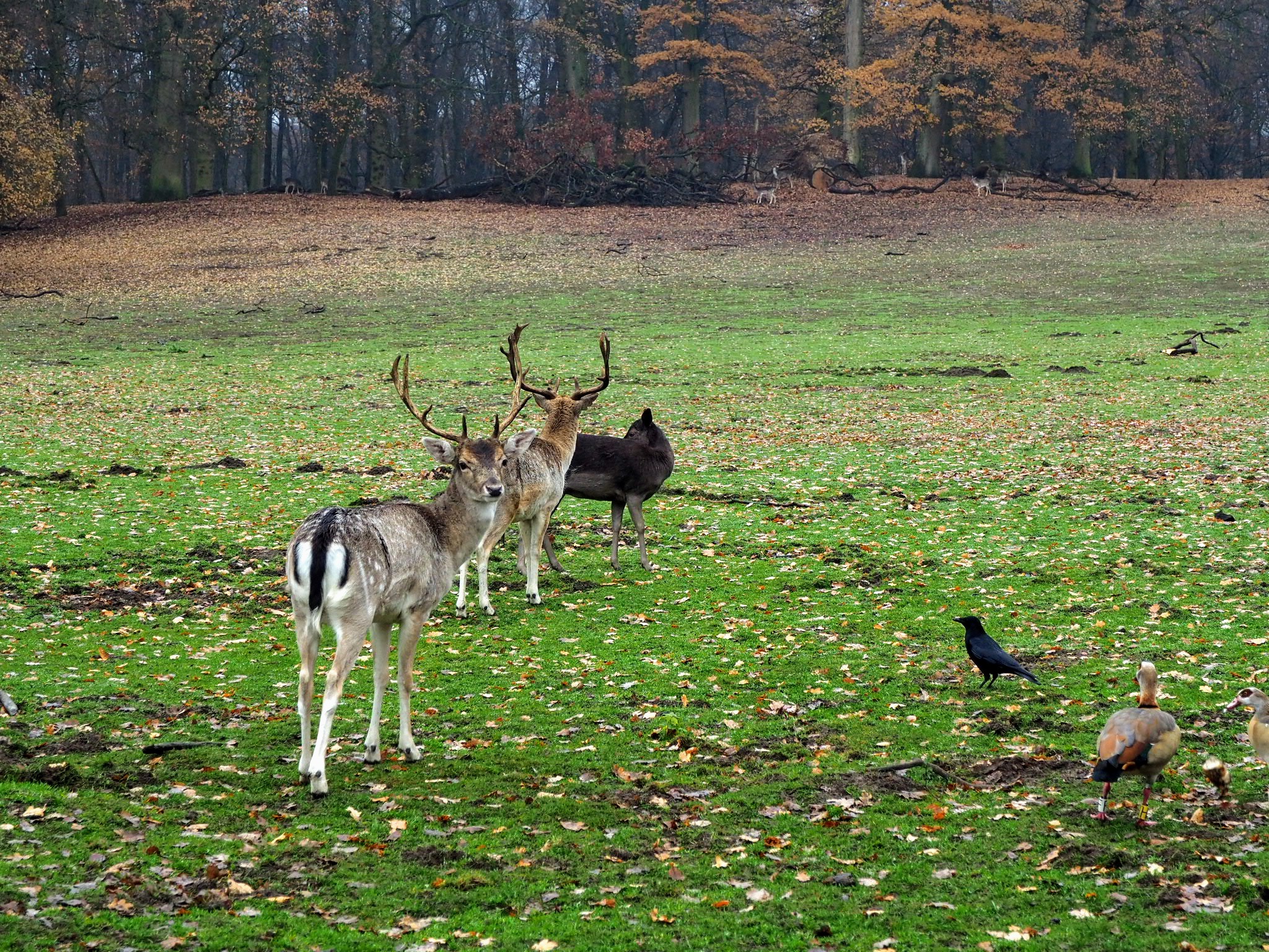 Park Sonsbeek Arnhem